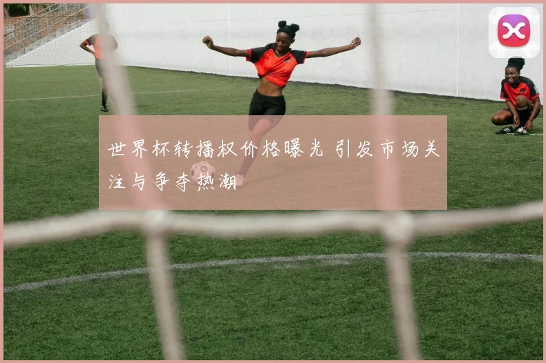 世界杯转播权价格曝光 引发市场关注与争夺热潮